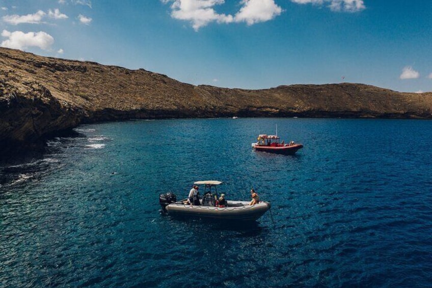 2hr Molokini Snorkel Trip