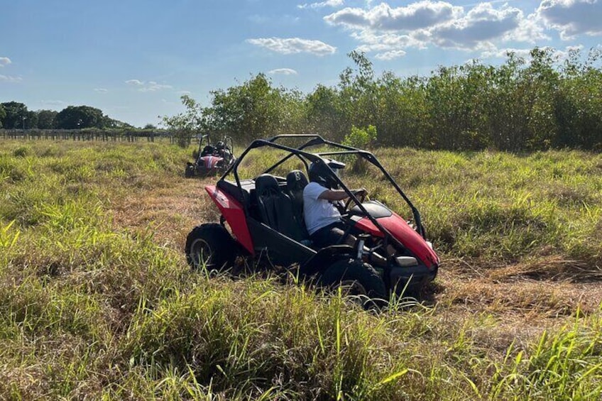 Fort Meade : Orlando : Dune Buggy Adventures