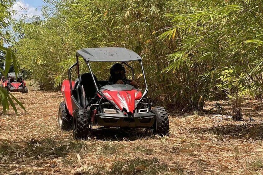 Bamboo Dune Buggy Tour