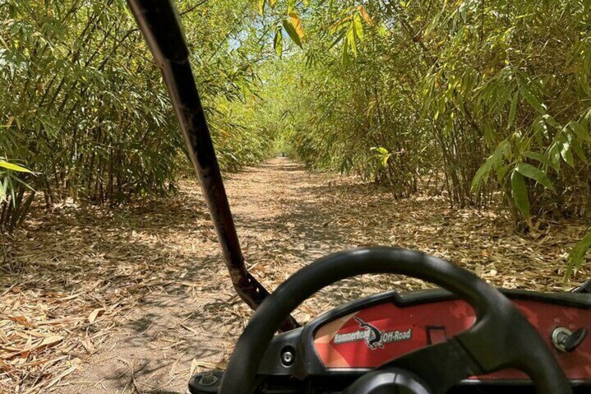Bamboo Dune Buggy Tour
