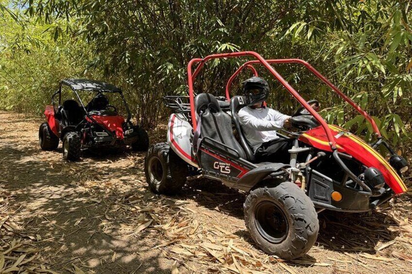 Bamboo Dune Buggy Tour