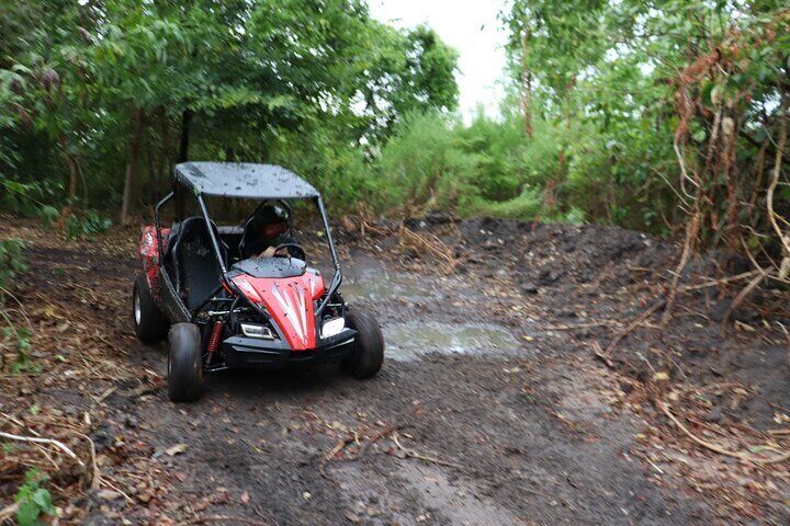 Dune sales buggy adventures