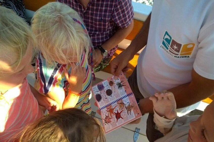 Children enjoy seeing the animals seen while snorkeling on the guide.
