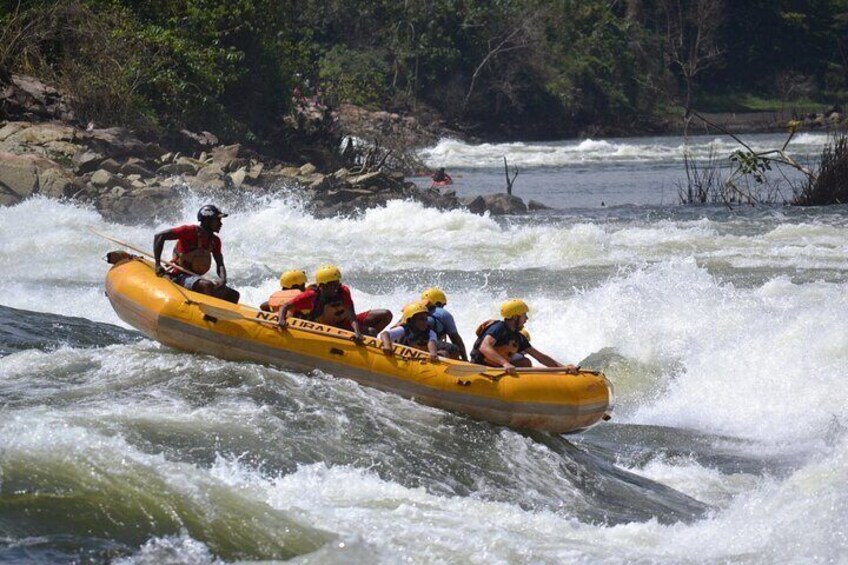 Entering the rapid