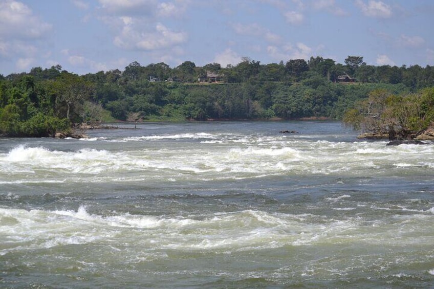 Nile