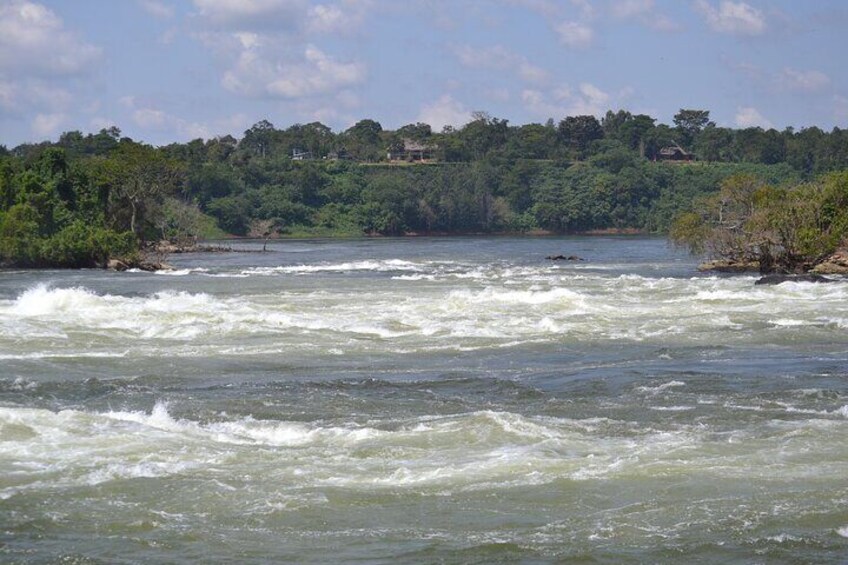 Nile