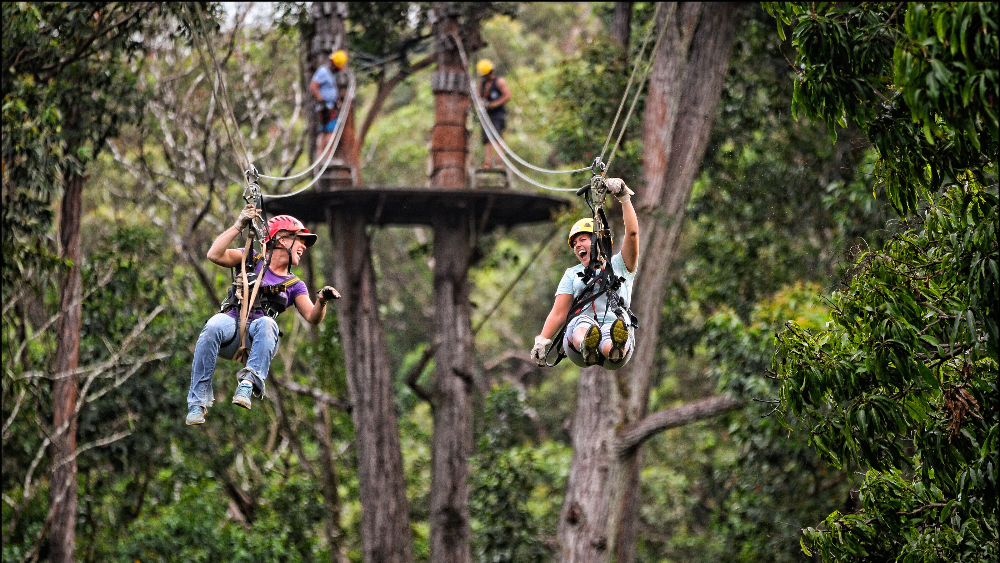 Kohala Canopy Zipline Canopy Adventure