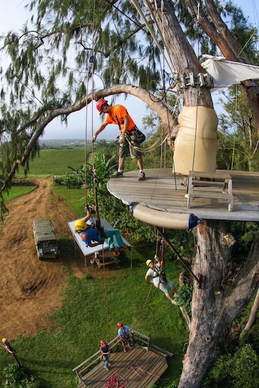 Kohala Canopy Zipline Canopy Adventure