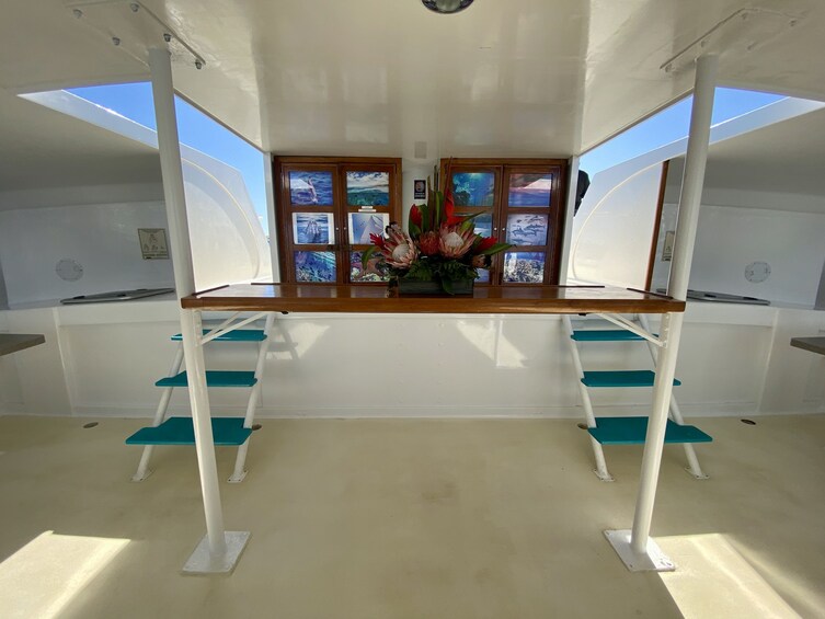 Show item 3 of 10. Half Day Lanai Snorkel & Whale Watch from Ka'anapali Beach