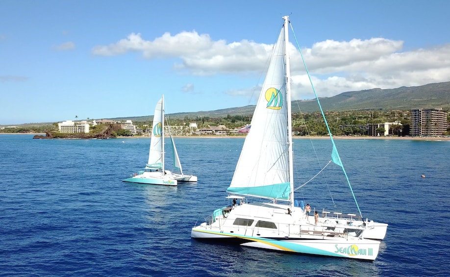 Show item 4 of 10. Half Day Lanai Snorkel & Whale Watch from Ka'anapali Beach