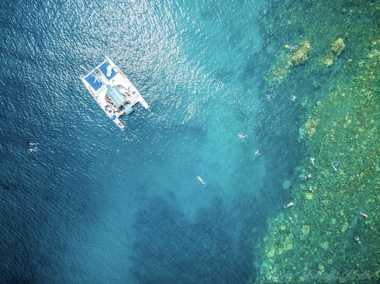 Show item 1 of 10. Half Day Lanai Snorkel & Whale Watch from Ka'anapali Beach