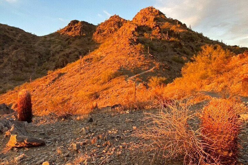 Stunning Sunrise or Sunset Guided Hiking Adventure in the Sonoran Desert