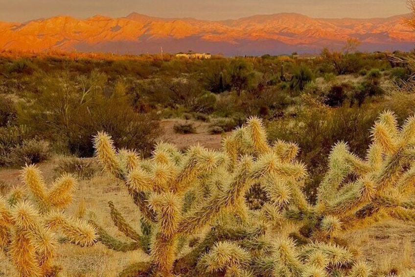 Stunning Sunrise or Sunset Guided Hiking Adventure in the Sonoran Desert