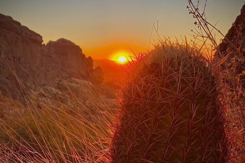 Stunning Sunrise or Sunset Guided Hiking Adventure in the Sonoran Desert