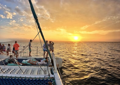 Original Sunset Cocktail Cruise with Starters & Open Bar