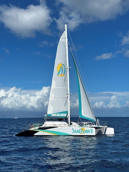 Original Sunset Cocktail Cruise with Appetizers & Open Bar