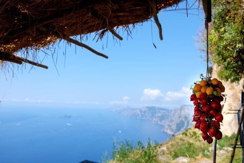 Half-Day Hiking to the Path of the Gods from Sorrento