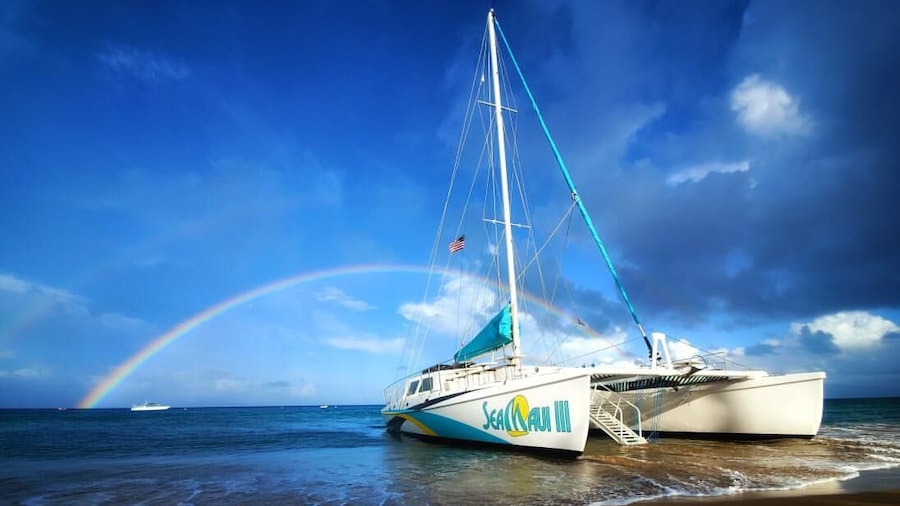 Half Day West Maui Snorkel & Whale Watch from Ka'anapali