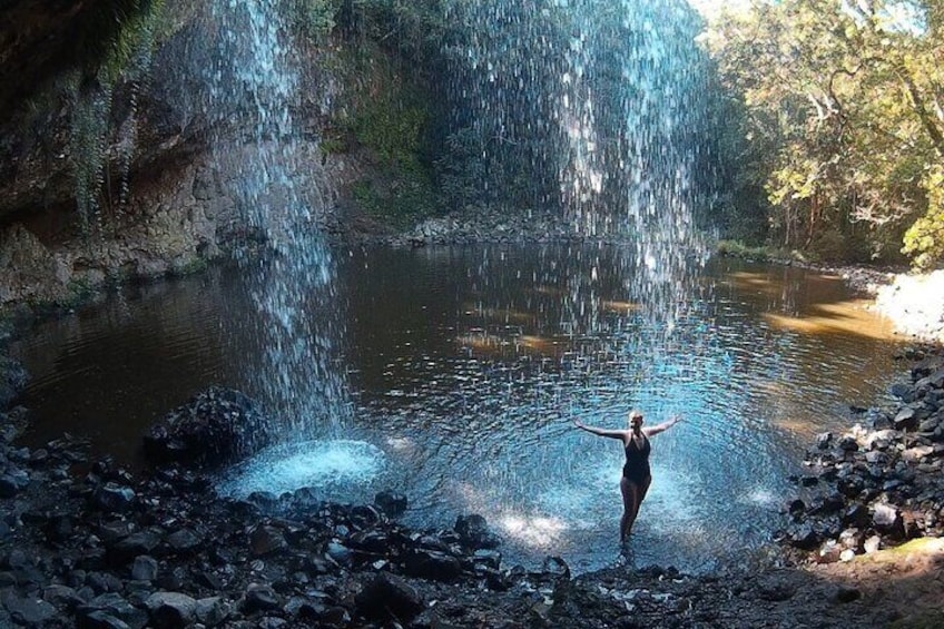 4 Hour Byron Beyond Private Surf and Hinterland Troopy Tour 