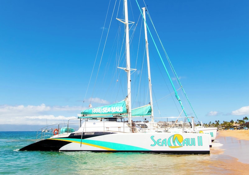 Whale-Watching Cruise from Kaanapali Beach