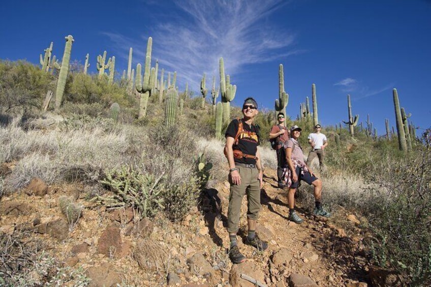 Incredible Hidden Valley Petroglyph Hiking Adventure in the Sonoran Desert