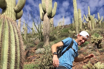 Incredible Hidden Valley Petroglyph Hiking Adventure in the Sonoran Desert