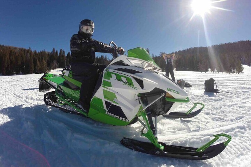 Full-Day Dog Sledding and Snowmobiling Combo Trip in Moran