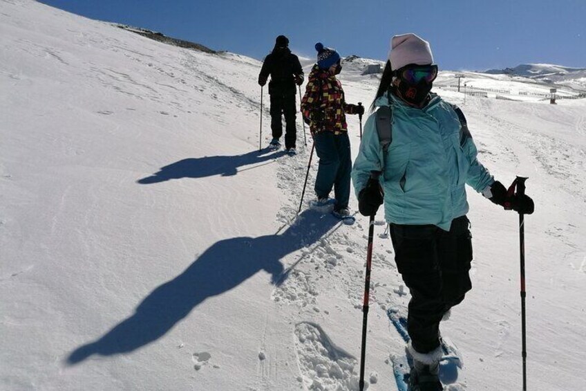 Hiking Snowshoeing in the Sierra Nevada Park