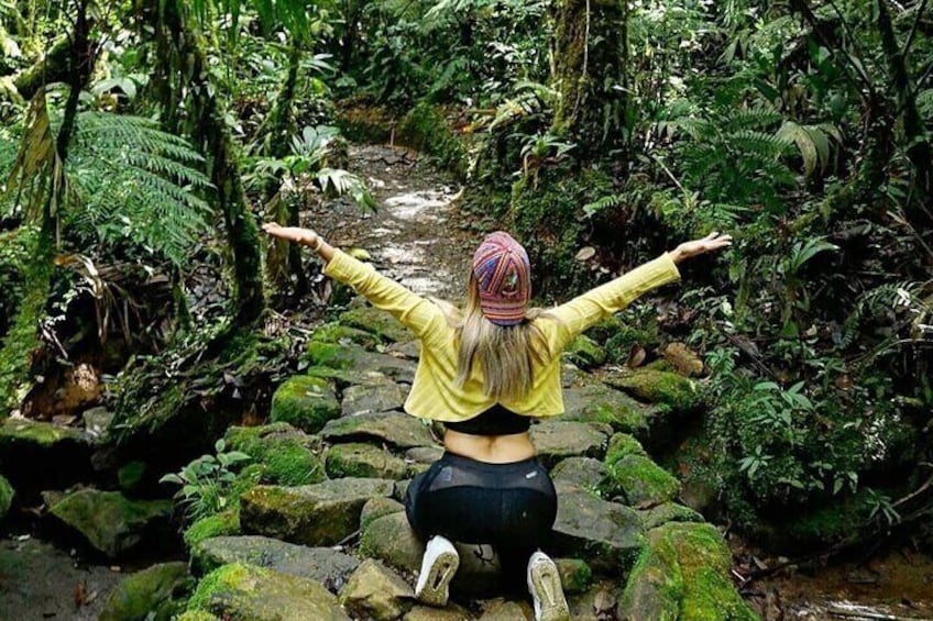 El Quetzal Birdwatching Tour from Cobán - Guatemala´s National Bird