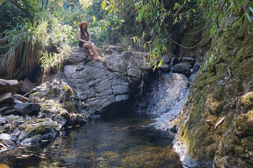 El Quetzal Birdwatching Tour from Cobán - Guatemala´s National Bird