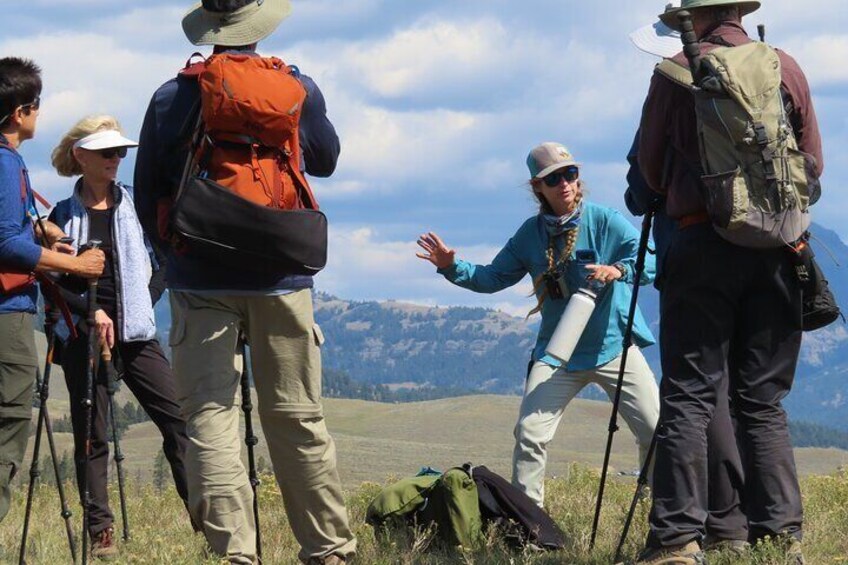 The guide explains the area's history, flora, and fauna.