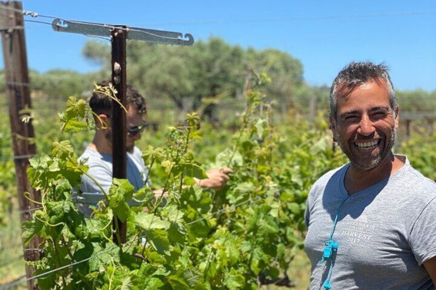 Private Half-Day Wine Tasting Tour in Lyrarakis Winery from Crete