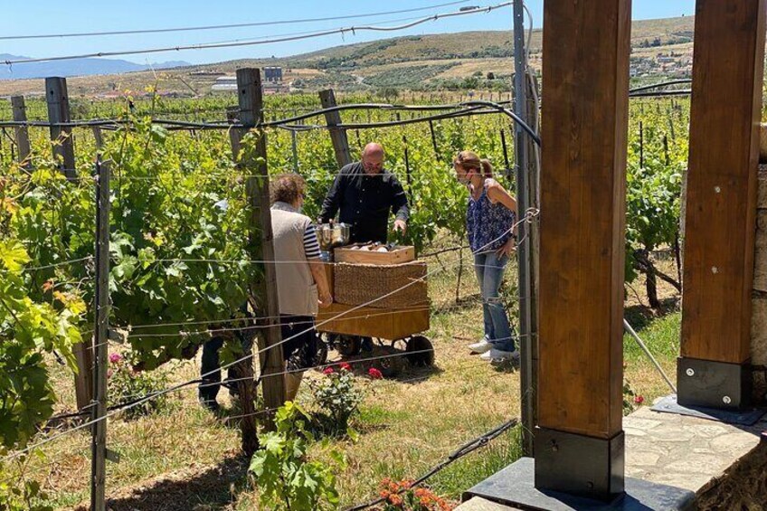 Private Half-Day Wine Tasting Tour in Lyrarakis Winery from Crete