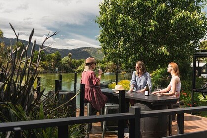 Marlborough Afternoon Wine Tour with Tastings