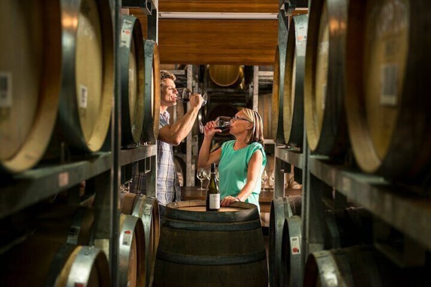 Wine tasting in barrel room at cellar door