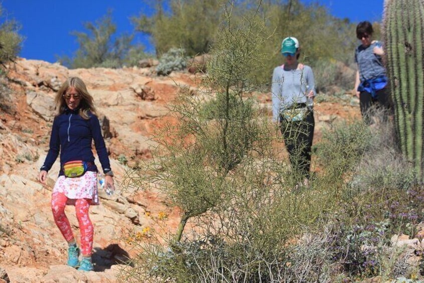 Amazing 2-Hour Guided Hiking Adventure in the Sonoran Desert