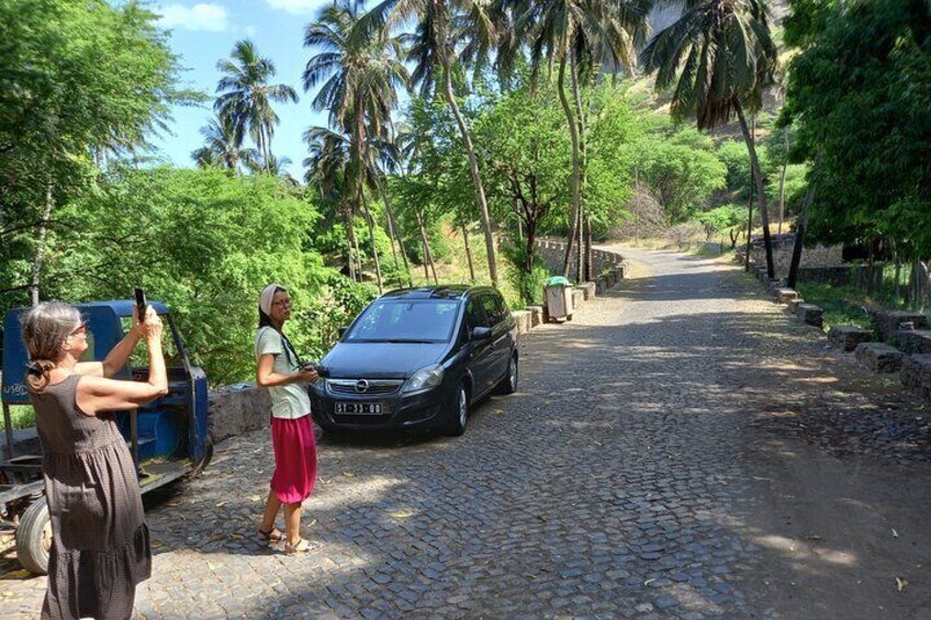 Experience & Full Day Island