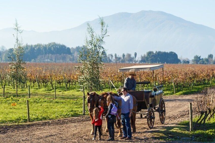 4 Hour Santa Rita Winery All inclusive Tour for Wine Lover