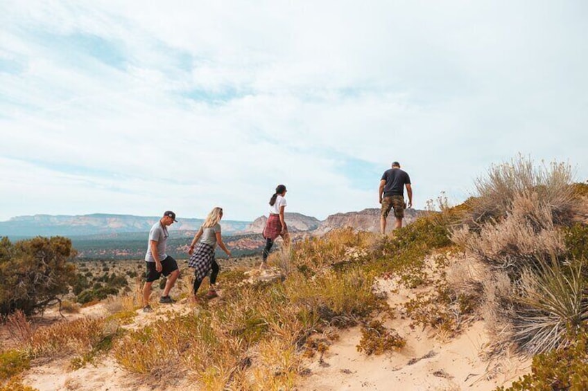 Great Chamber/Peekaboo Slot Canyon UTV Tour 4hrs