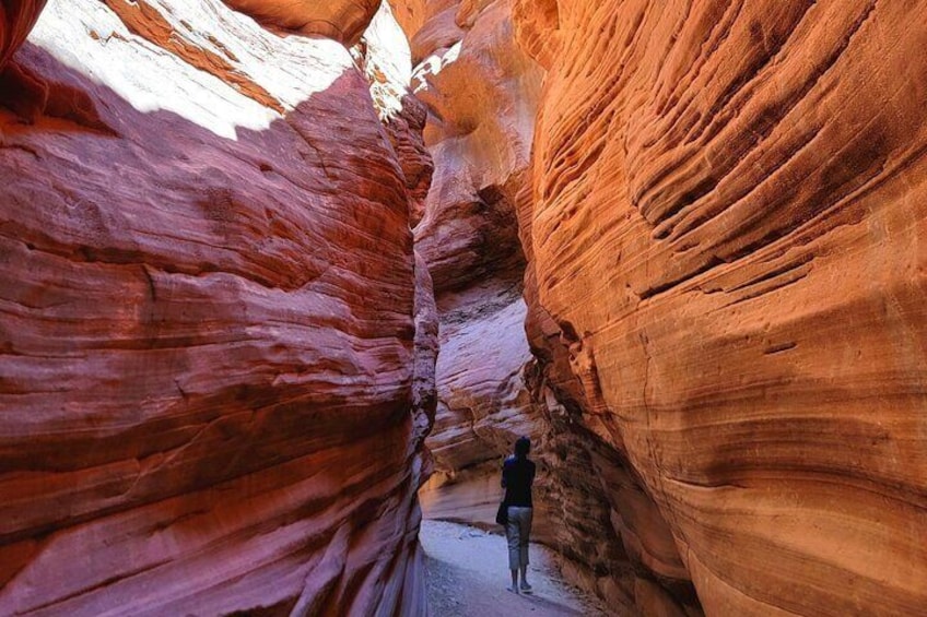 Great Chamber/Peekaboo Slot Canyon UTV Tour 4hrs