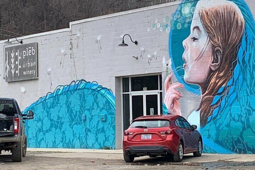 Pleb Urban Winery