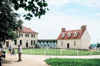 George Washington's Mount Vernon & Old Alexandria Half-Day Guided Tour from...