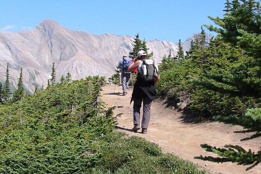 3-Day Hike and Dine in Jasper from Edmonton with Accommodation