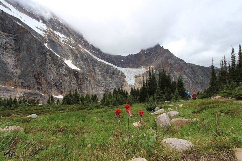 3-Day Hike and Dine in Jasper from Edmonton with Accommodation