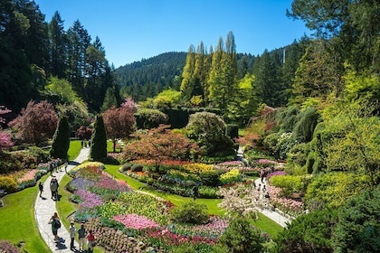 Descubra el tour por los jardines Victoria y Butchart desde Vancouver