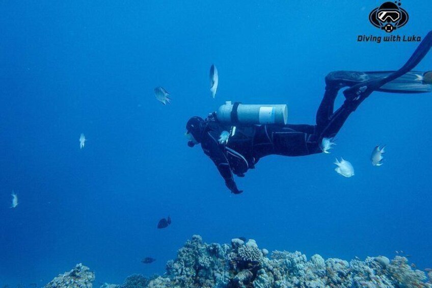 Diving with luka