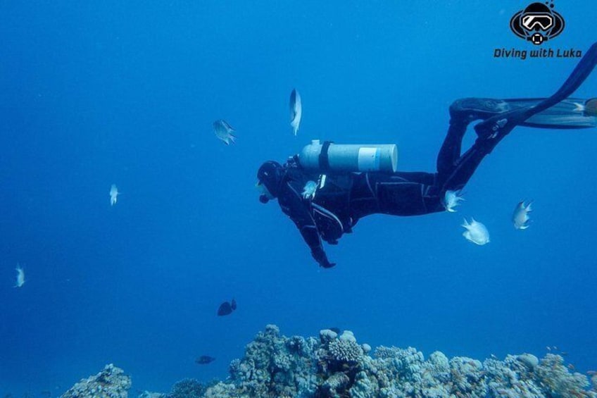 Diving with luka