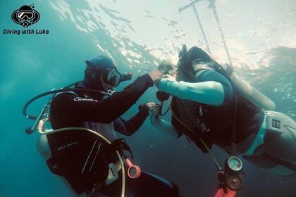 Full day diving with private guide, lunch drinks transport