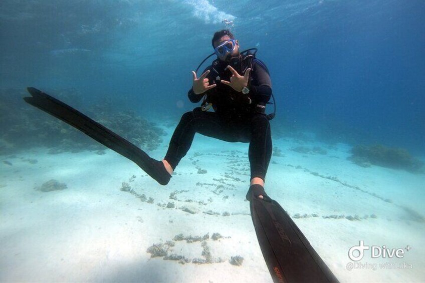 Diving with luka