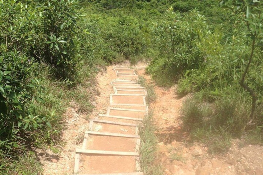 The Dragon's Back Hiking Tour